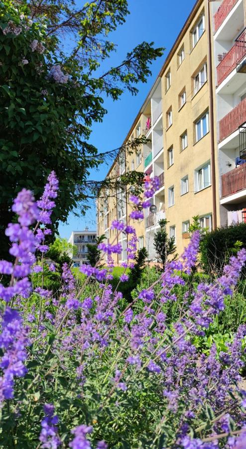 Apartament Sunwave Владиславово Екстер'єр фото